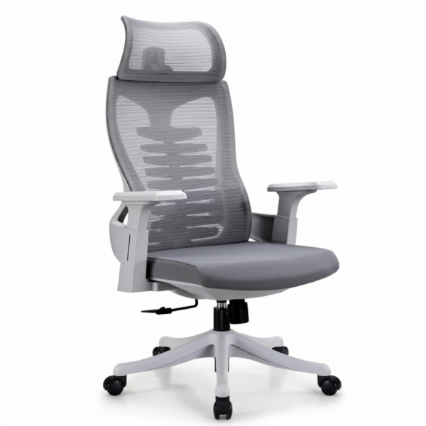 IAM Furniture- Contoured Spine Mesh Chair