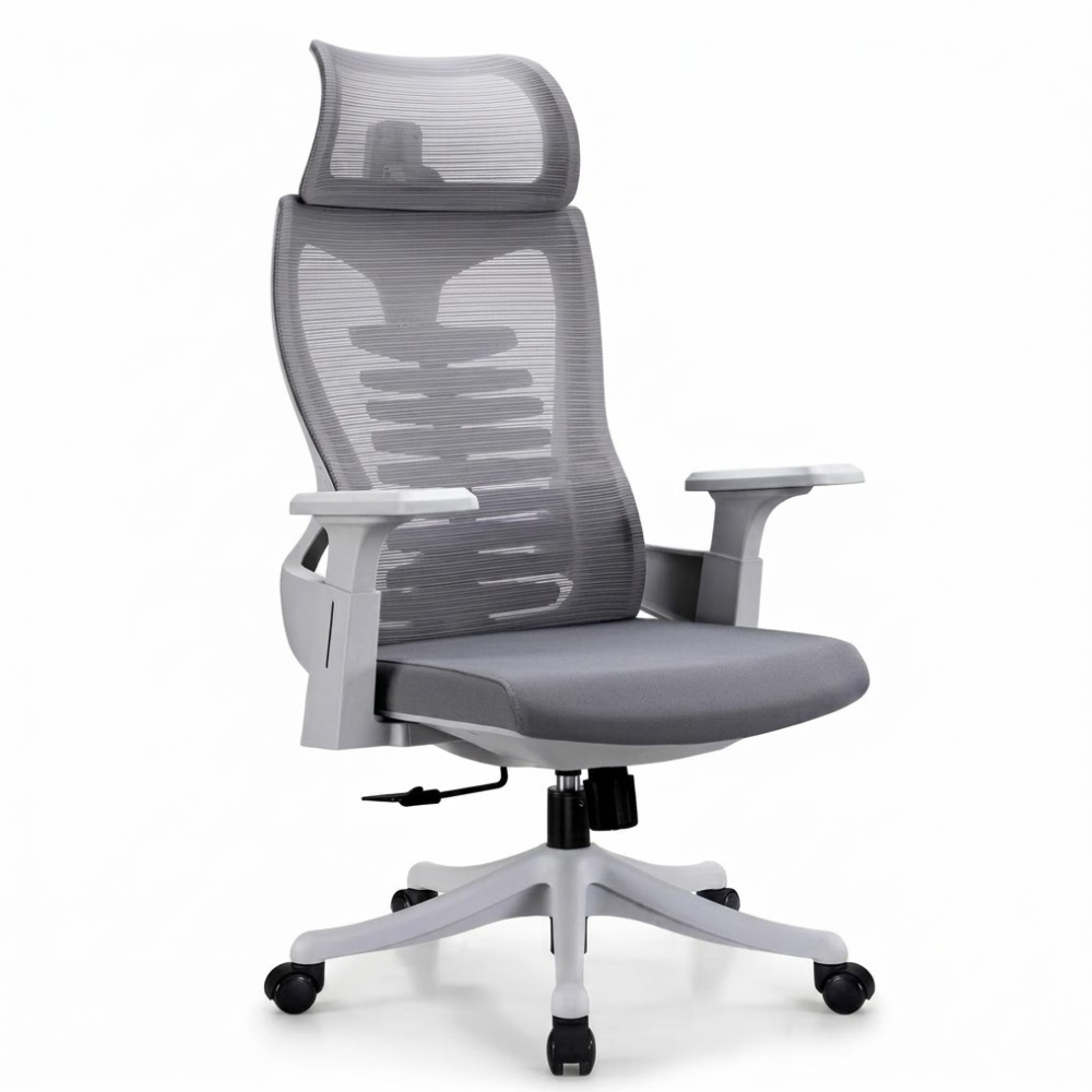 IAM Furniture- Contoured Spine Mesh Chair IAM Furniture- Contoured Spine Mesh Chair
