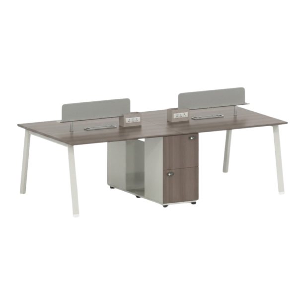 IAM Furniture- Dual Bench Workstation