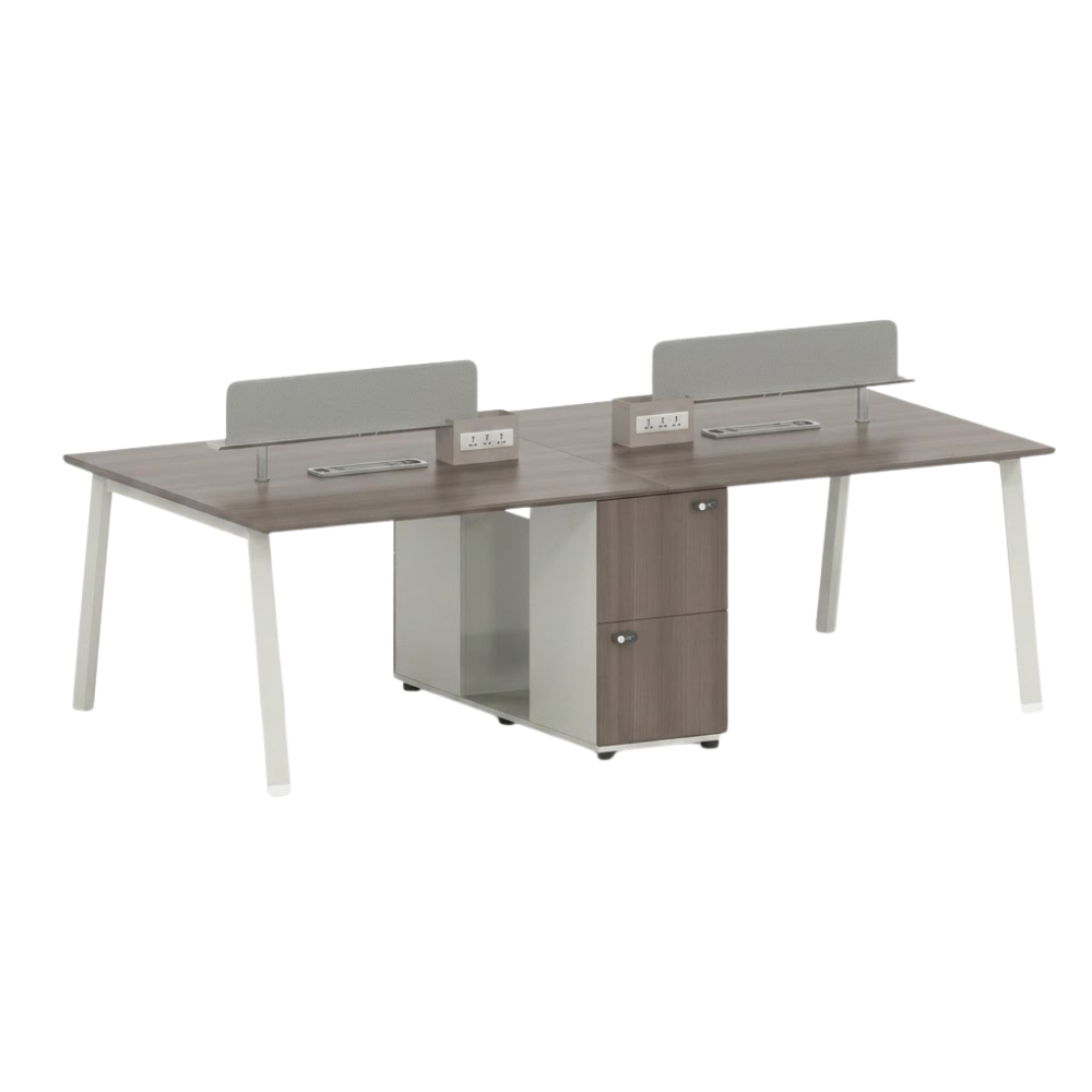 IAM Furniture- Dual Bench Workstation