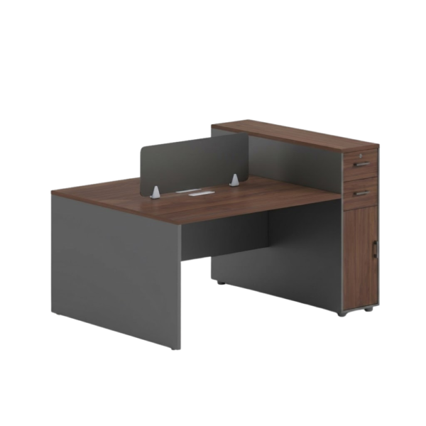IAM Furniture- Modern Partitioned Desk Unit